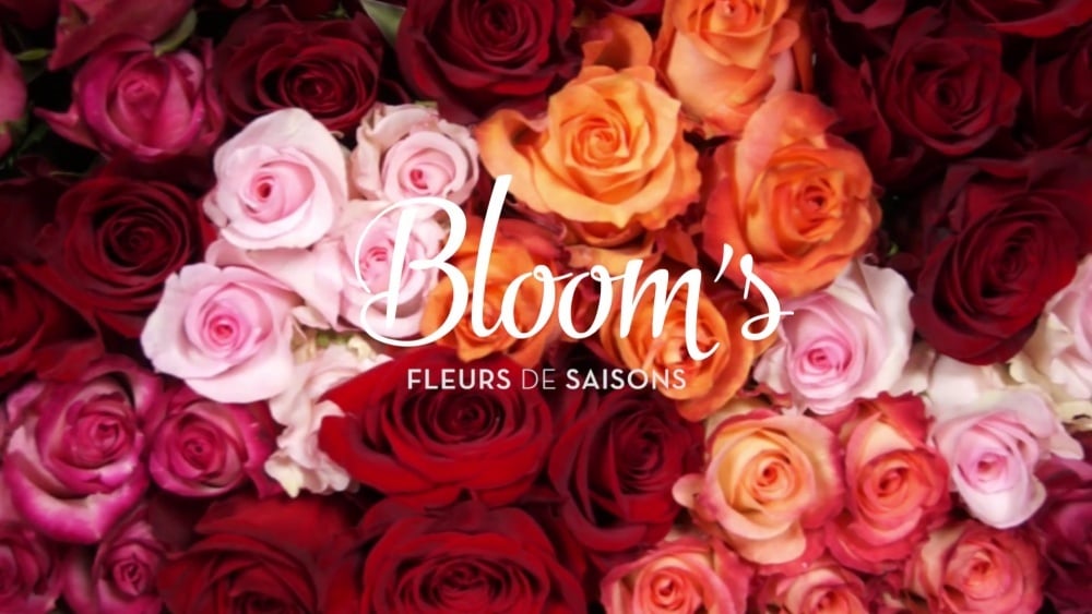 Blooms