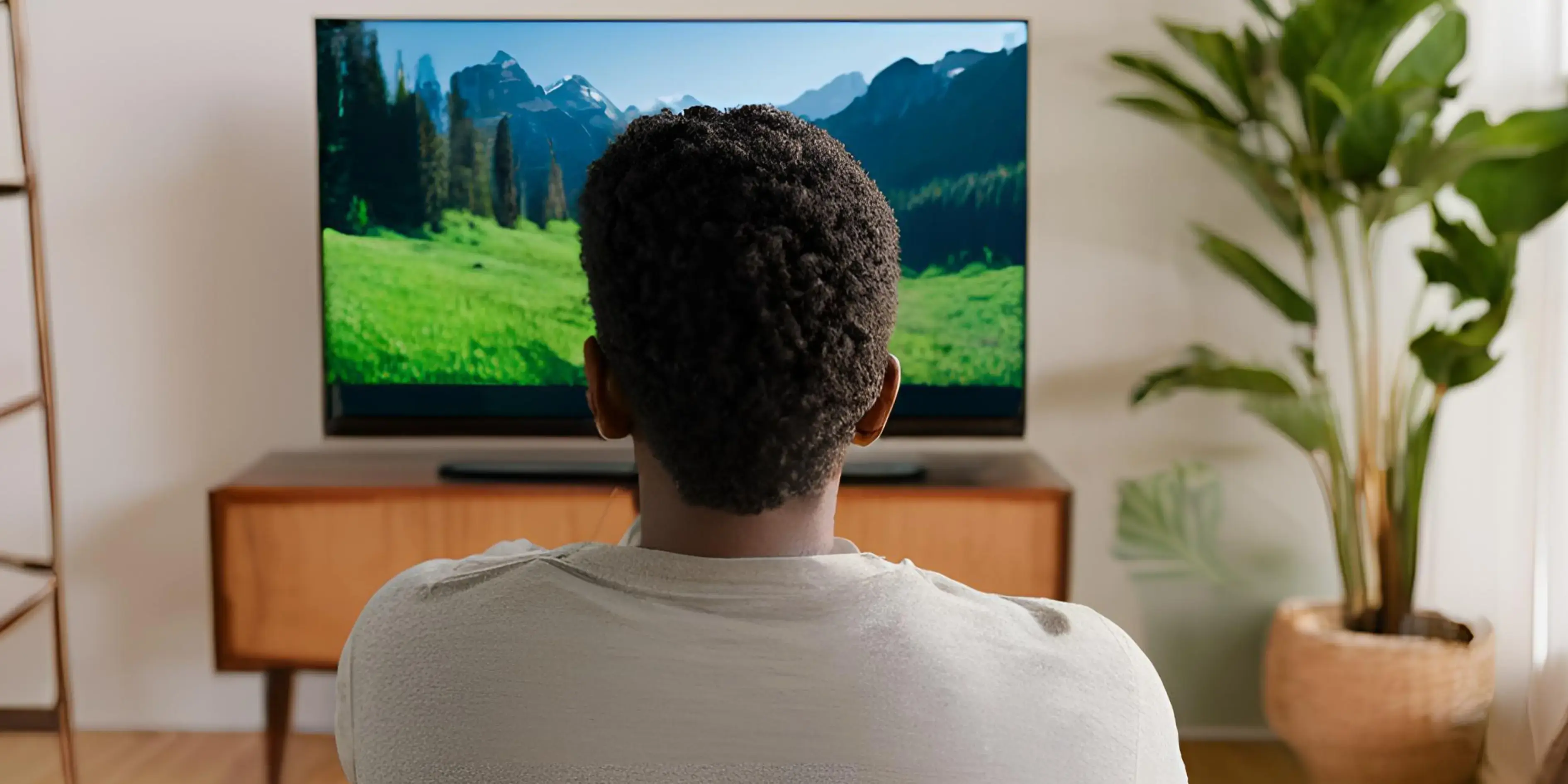 BVOD : à chaque plateforme son audience ?